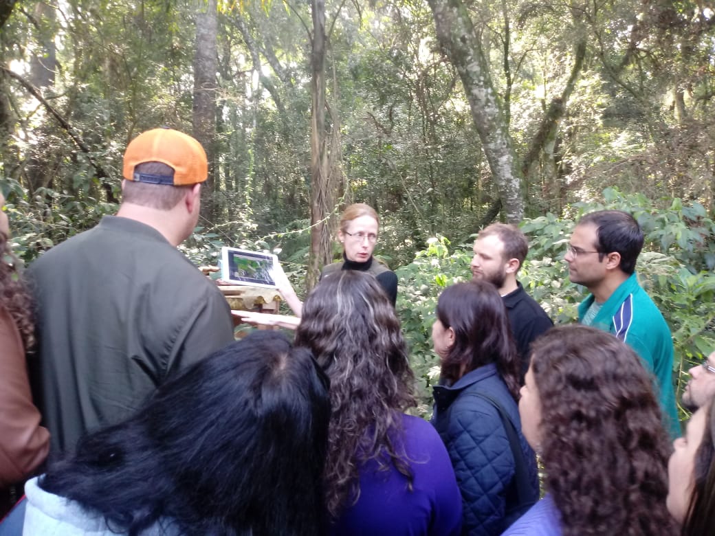 Bosque do Museu