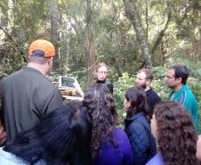 Bosque do Museu
