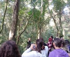 Bosque do Museu