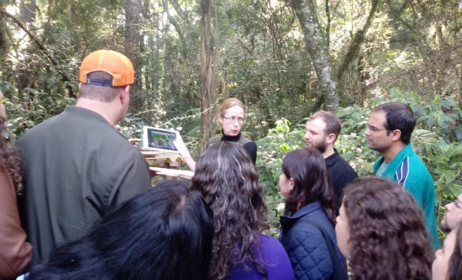 Bosque do Museu