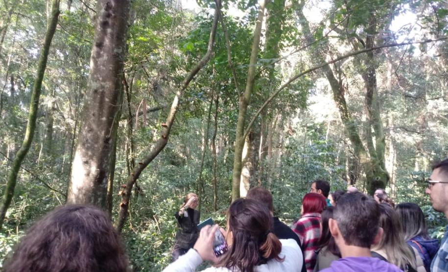 Bosque do Museu